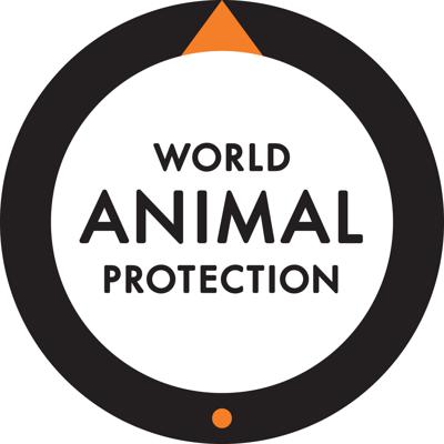 West Hollywood adopts groundbreaking ban on the retail sale of live animals
