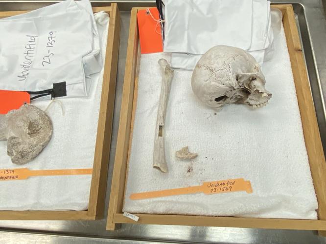 pima bones_on_tray