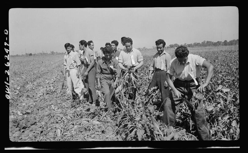 Braceros in Stockton, 1943