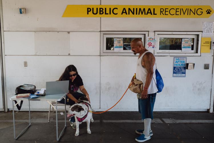 South-LA-Animal-Shelter-131-scaled.jpg