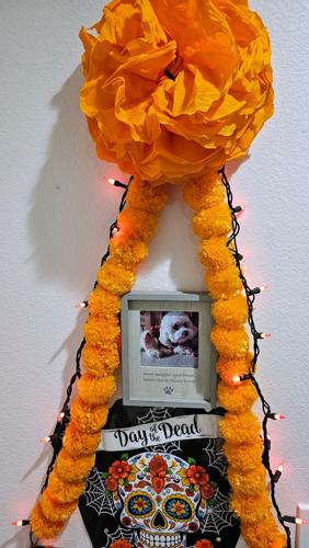 Leo Altar