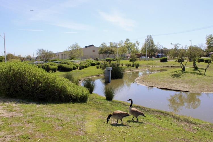photo4