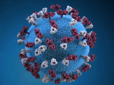 measles