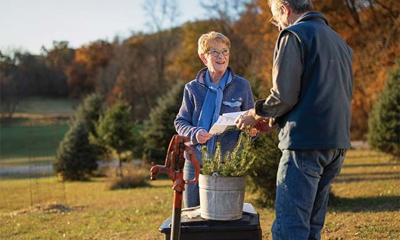 Fall Tree Planting: Expert Guidance for Optimal Growth