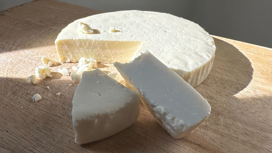 Queso fresco