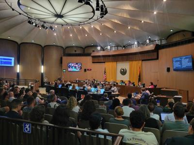 phoenix city council
