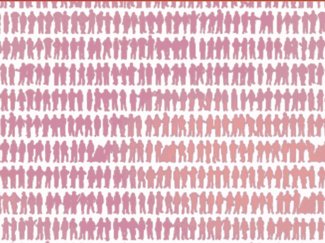 website calo imagenes 1441×1081 (12)