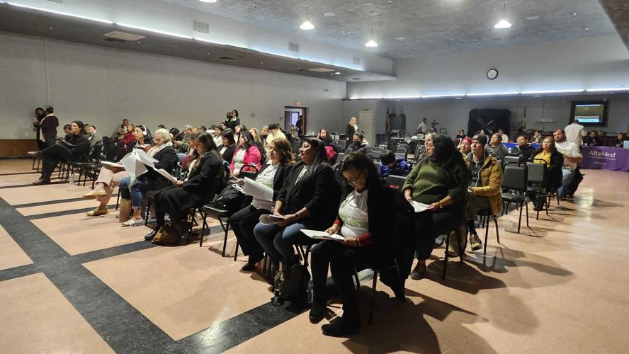 SELA school edible gardens