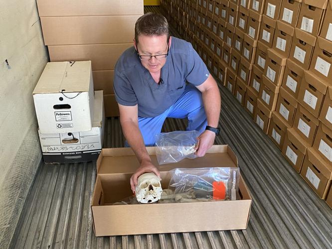 pima bone-box