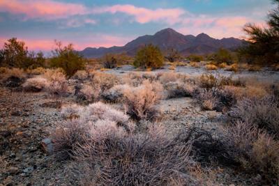 The Bradshaw Trail