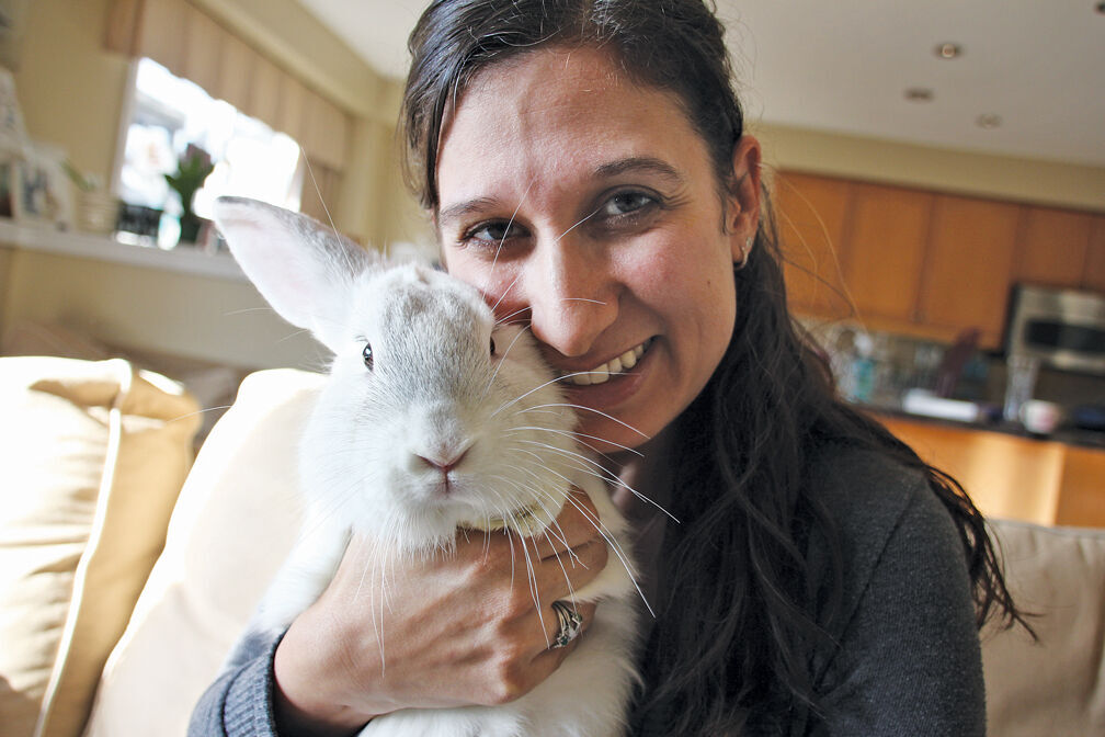 Eleven rescued rabbits in need of a home