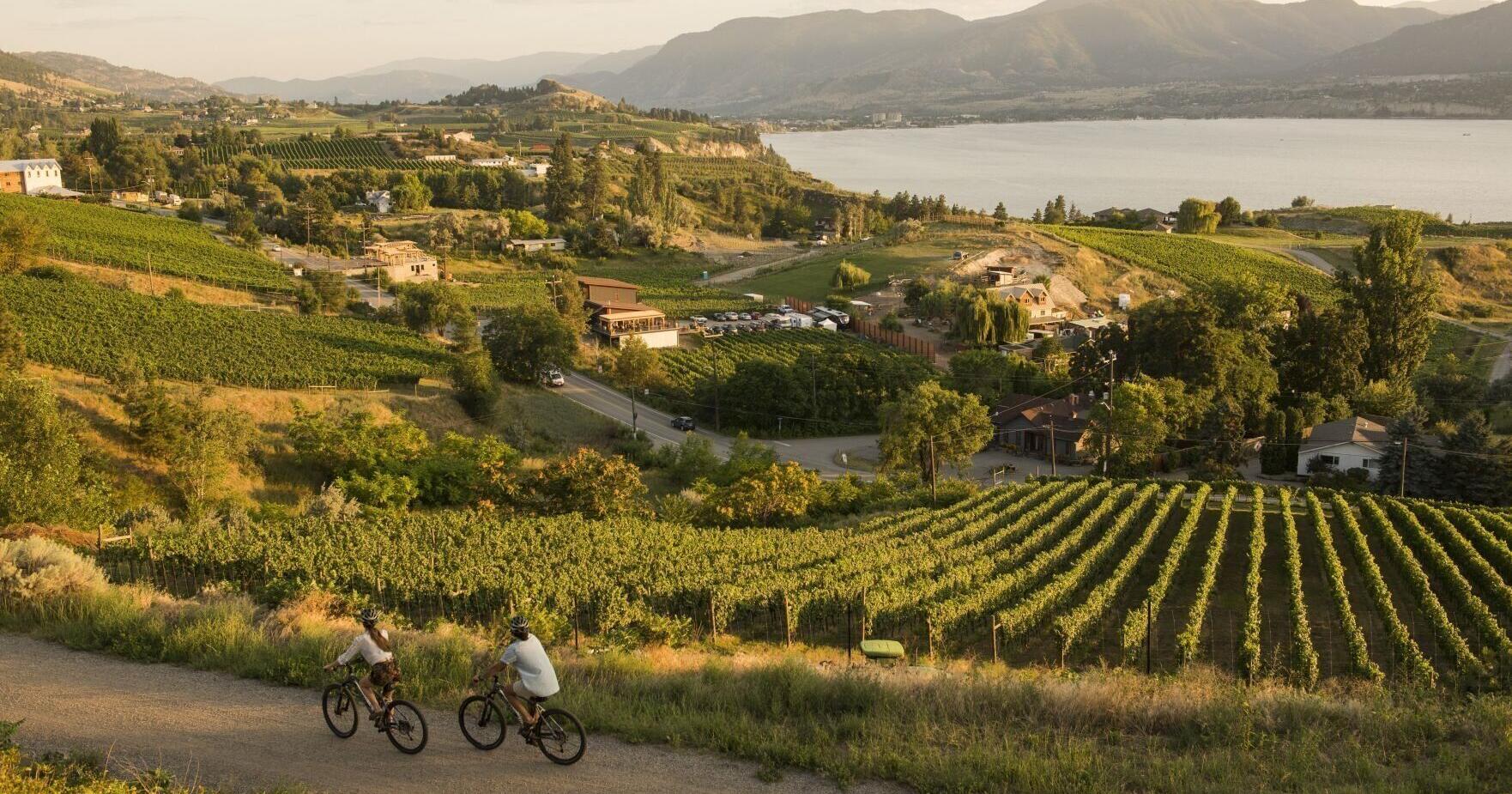 Naramata, B.C.: This peaceful hamlet in the Okanagan Valley feels like J.R.R. Tolkien's fictional Shire - Vimarsana News