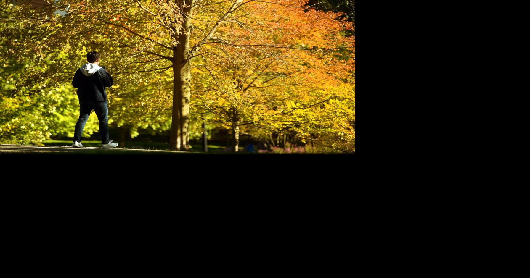 7 fall and Halloween activities to check out in Waterloo Region