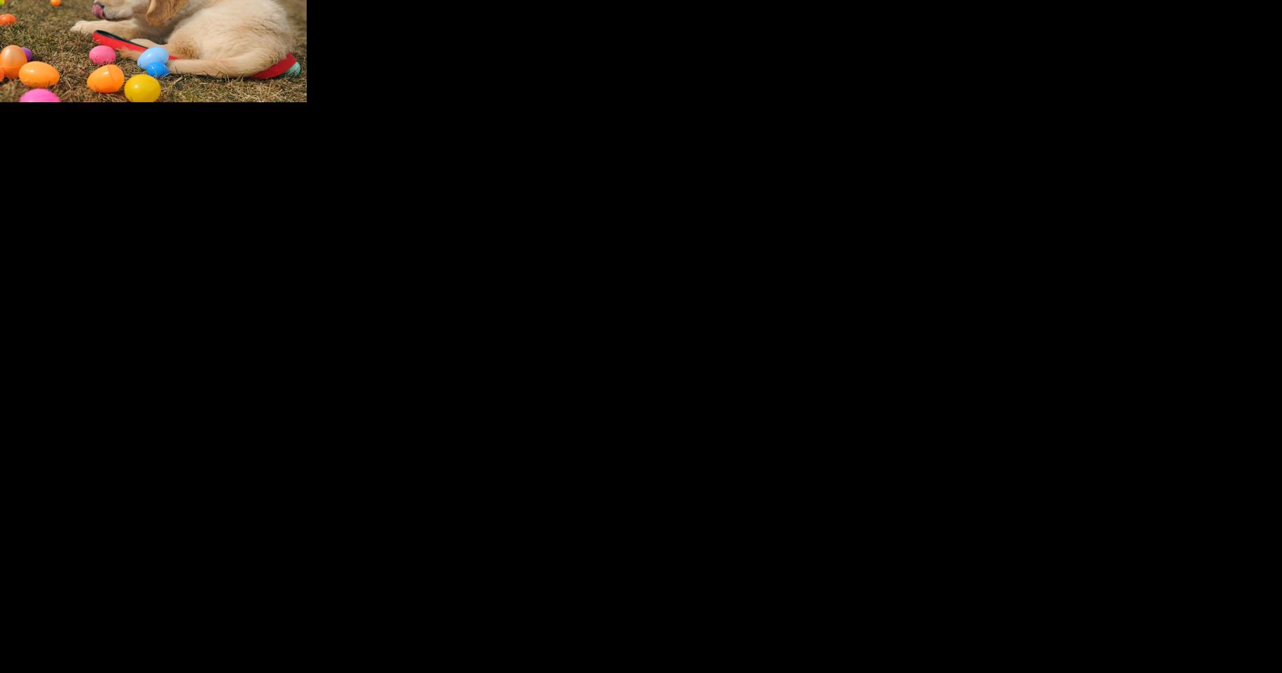 Explore outdoors in Waterloo Region and Guelph - Vimarsana News
