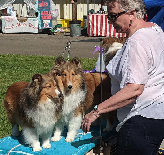 Unleash the hounds! Dog show coming to Clackamas County Calendar