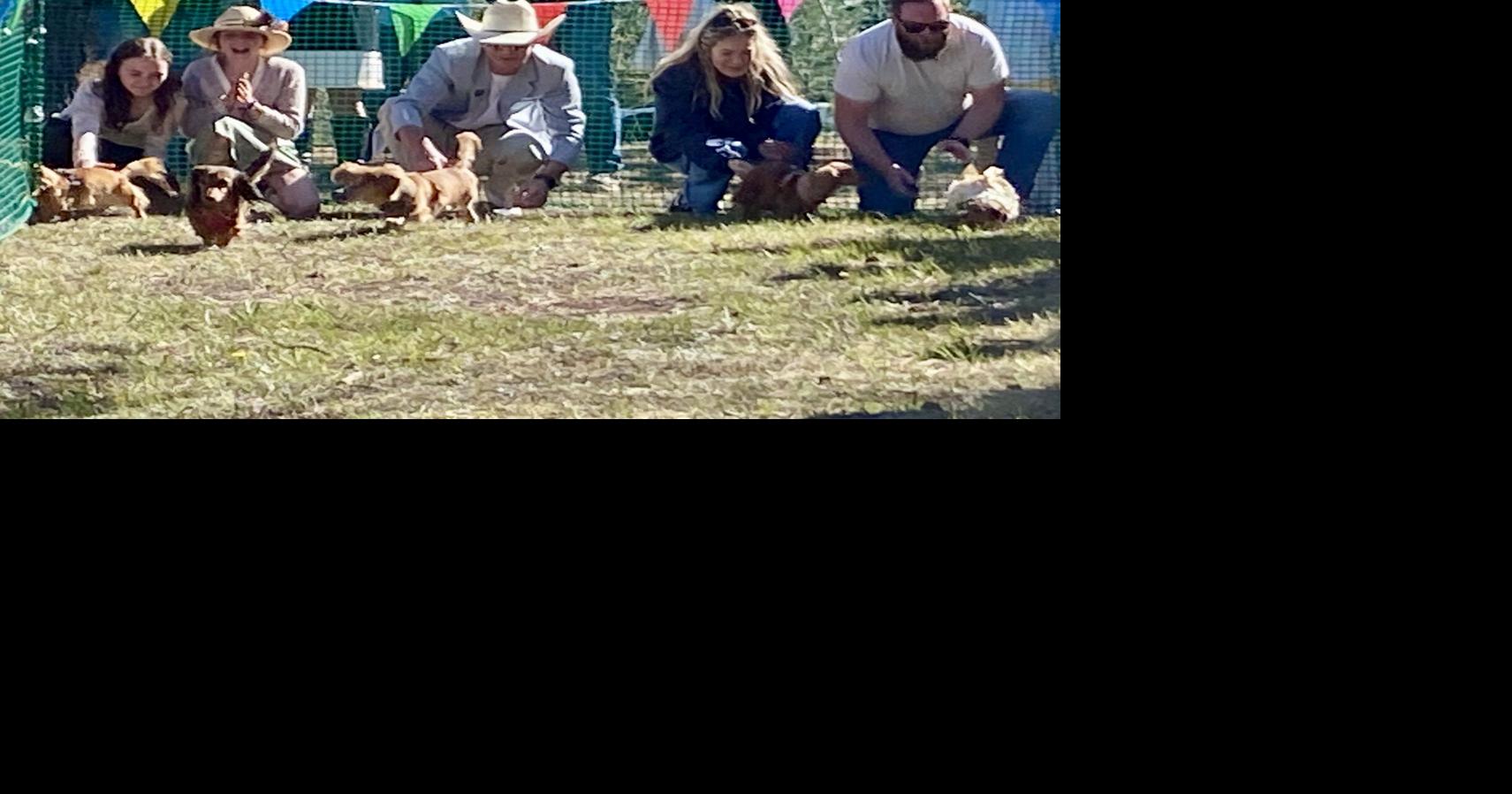 First Long Dog Derby a success for winners and losers alike
