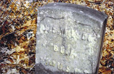 Joe Wilson Gravestone