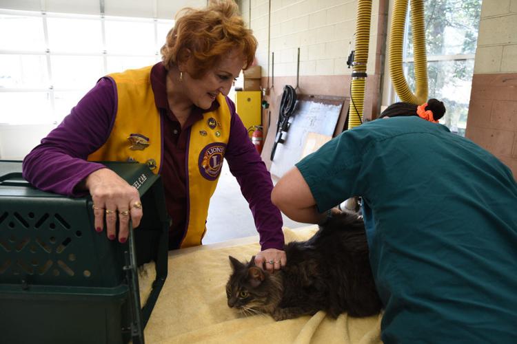 Guarding Against Rabies Sandwich News