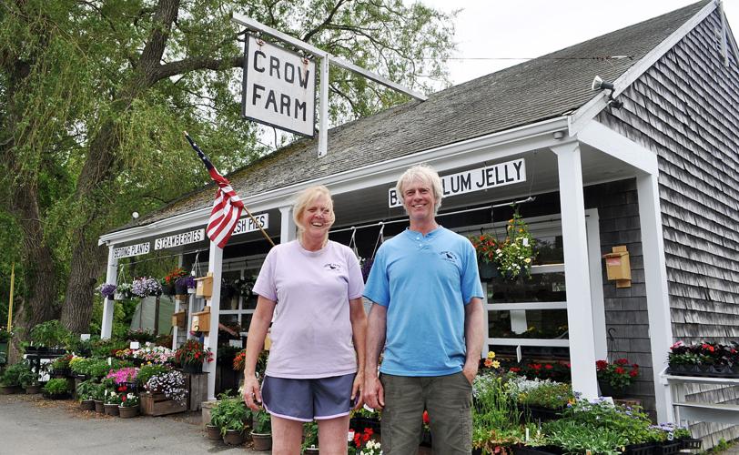 The Crowell Family’s Farm Turns 100 Sandwich News