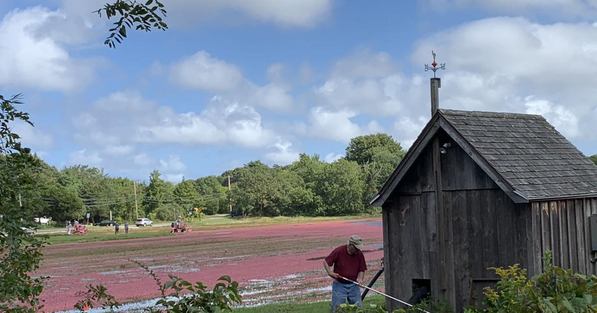 Weekly Nature Watch: Here Comes Fall | Columns | capenews.net