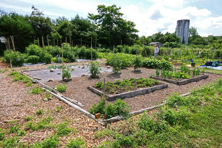 The Week In Photos August 3, 2018 Photography