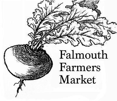 Falmouth Farmers Market November 26 Falmouth Columns