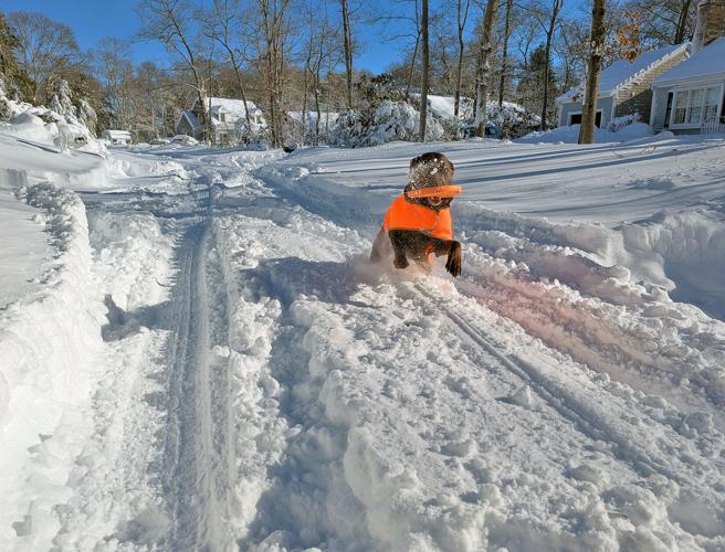 Work Continues To Clear Roads, Restore Power; Warming Stations Remain ...