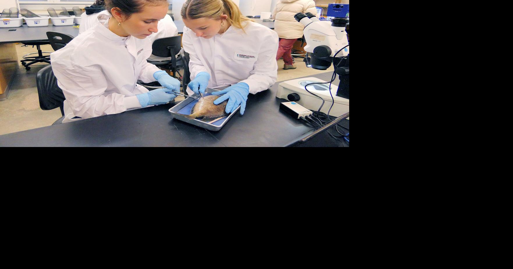 MBL High School Science Discovery Program | | capenews.net