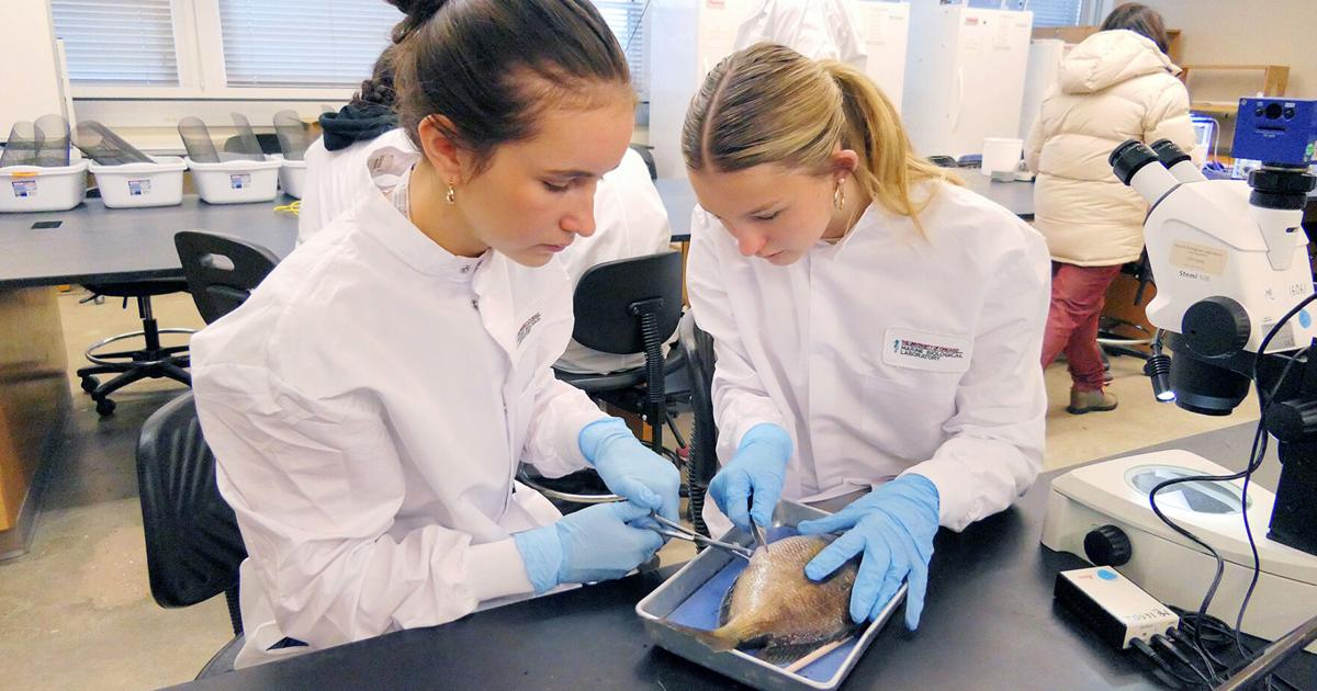 Mbl Science MBL High School Science Discovery Program | | capenews.net