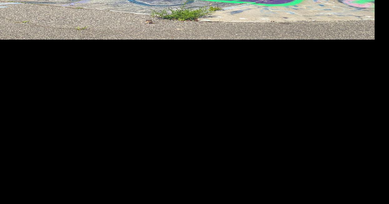 New Surface For Old Skatepark In The Works Falmouth News