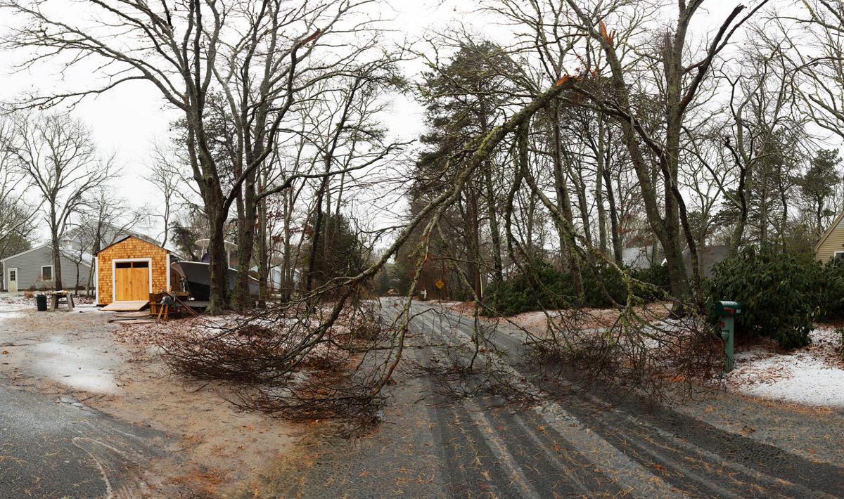 Storm Does Little Damage In Mashpee Mashpee News Capenews Net