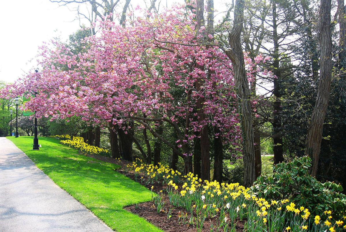 Heritage Museums Gardens Celebrates 50 Years Arts