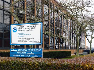 Fisheries Center Might Move Out Of Woods Hole Falmouth News