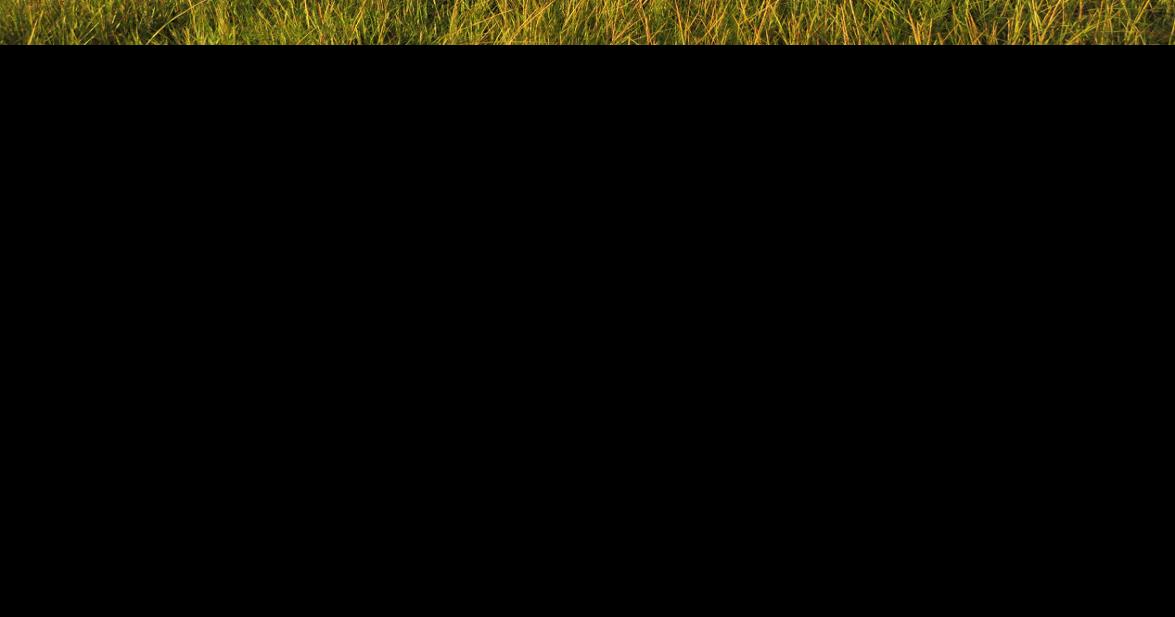 West Falmouth Harbor Opens To Recreational Shellfishing Falmouth News