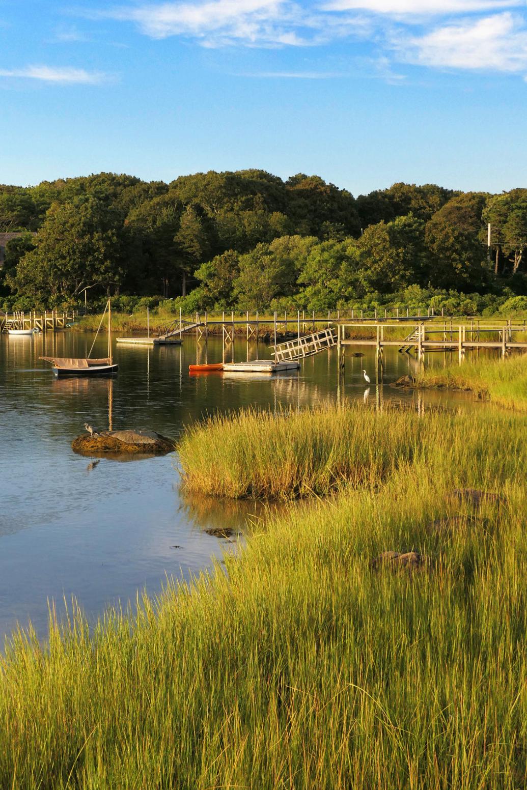 West Falmouth Harbor Opens To Recreational Shellfishing Falmouth News