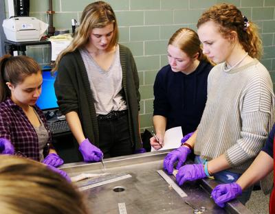 Falmouth Students Visit Science Centers For Artistic Inspiration