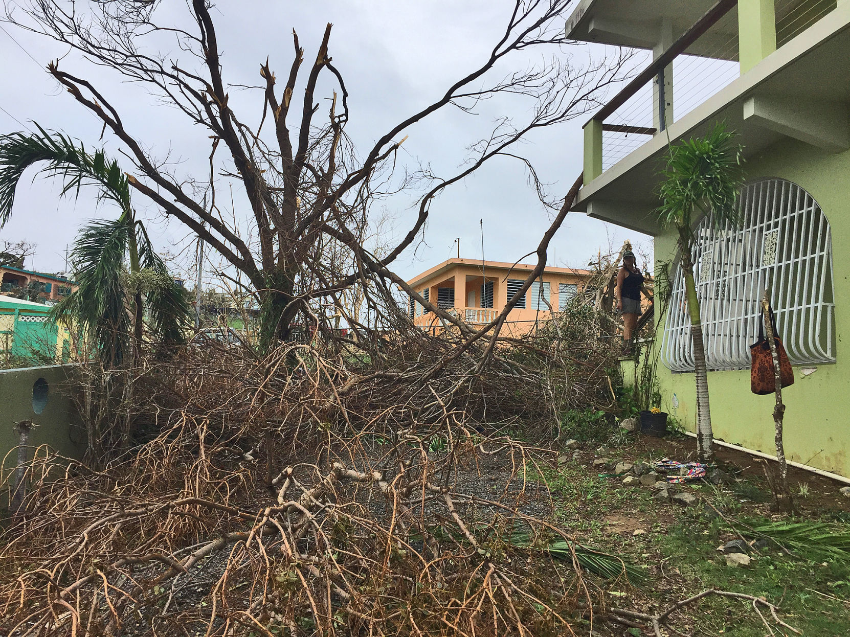 tin box vieques