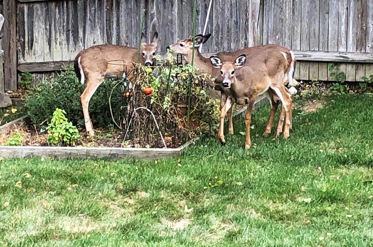 The Week In Photos October 23, 2020 Photography