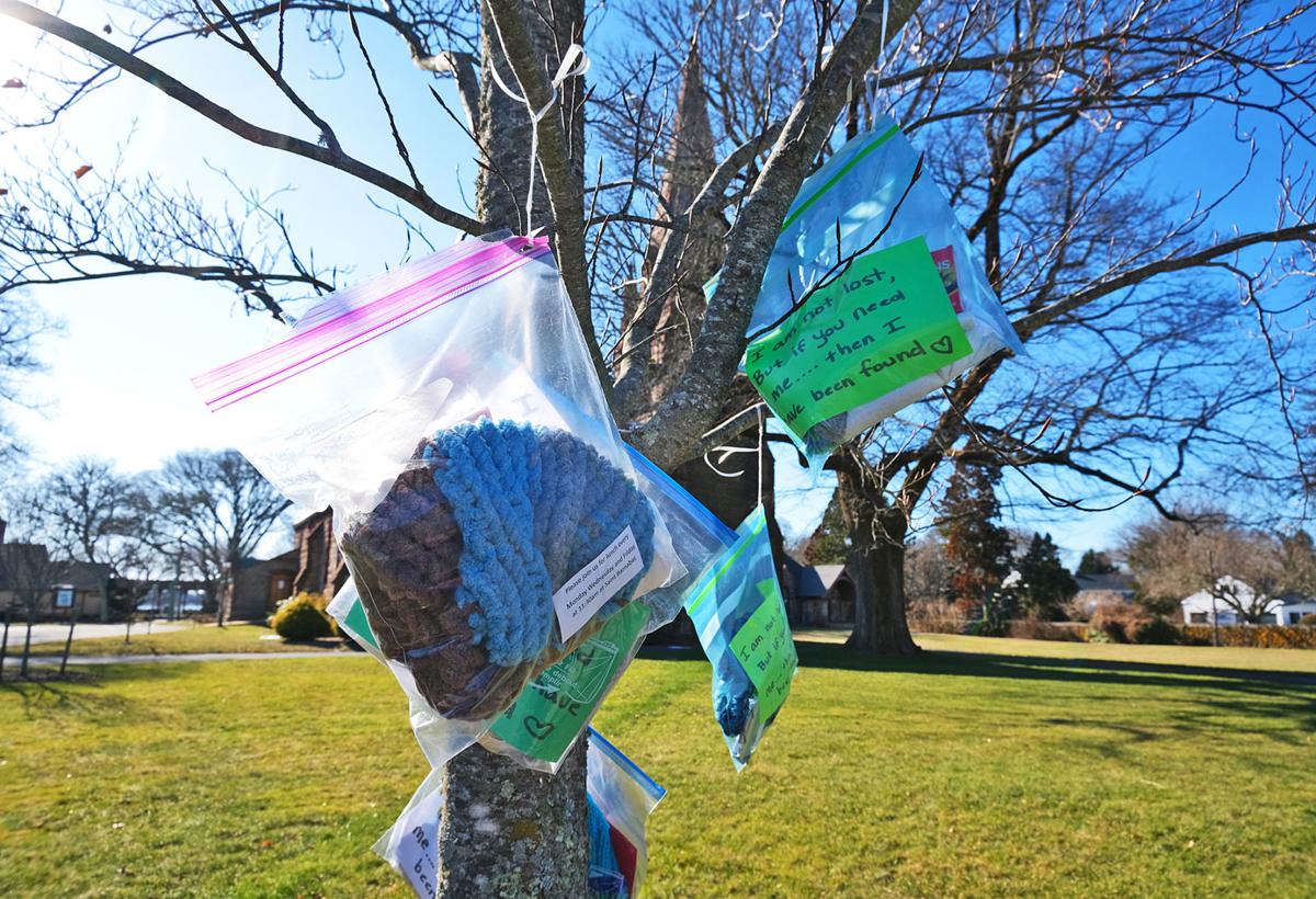 Bags In Trees