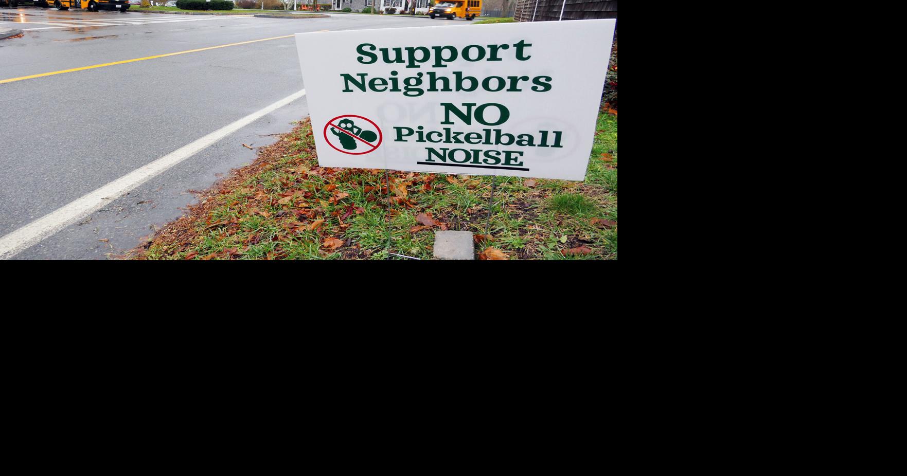 Lakeview Avenue Residents File Appeal To Stop Noise From Pickleball