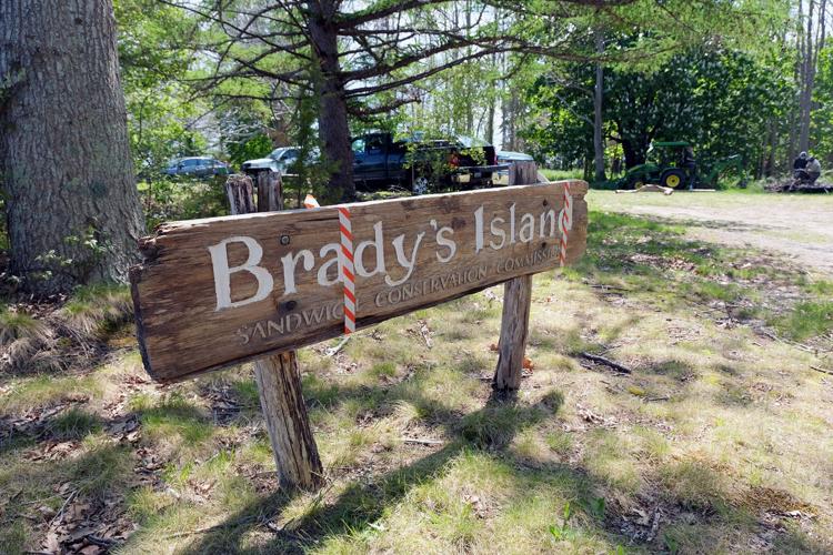 MonthsLong Brady Island Restoration Nears Completion Sandwich News
