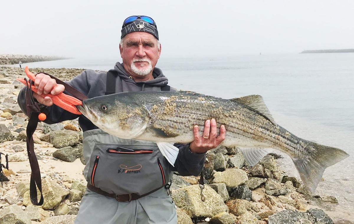 The Stripers And Black Sea Bass Are Biting, Columns