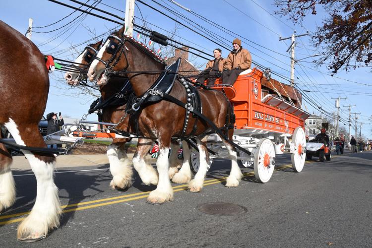 PHOTOS Perfect Weather For A Parade Falmouth