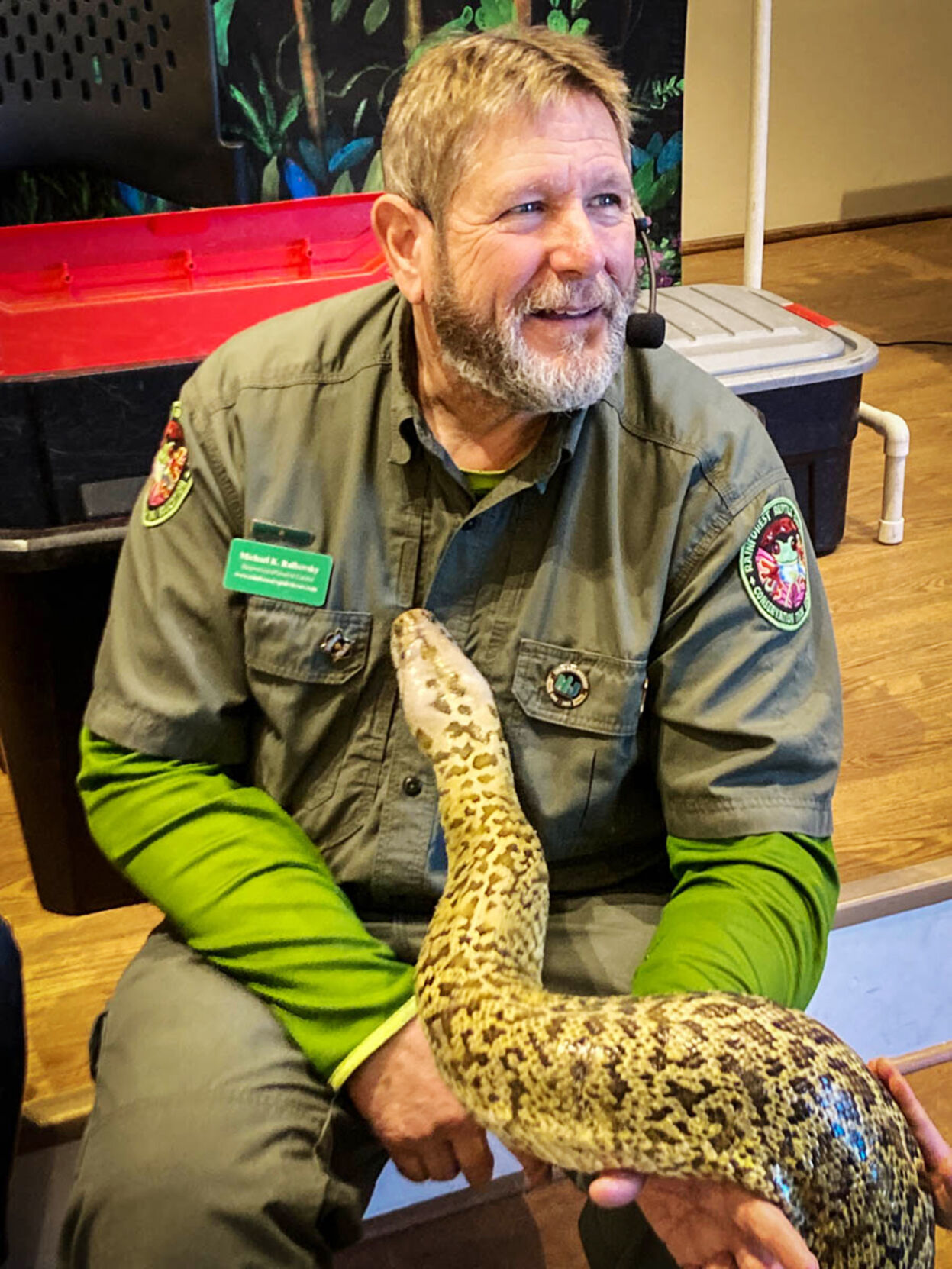 natural-history-museum-hosts-reptiles-rock-arts-entertainment