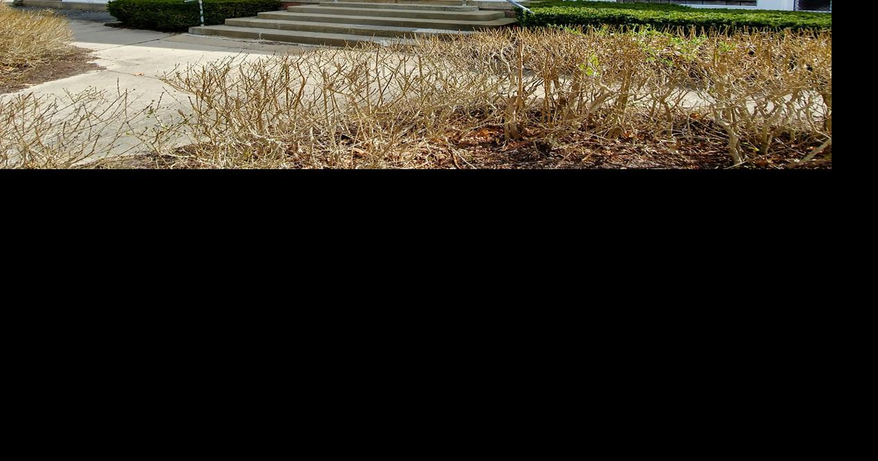 Remaining Hoxie Center Funding To Be Returned To The Town Bourne News