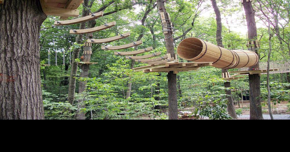 Sandwich Zoning Board Backs Heritage Aerial Park Permit News