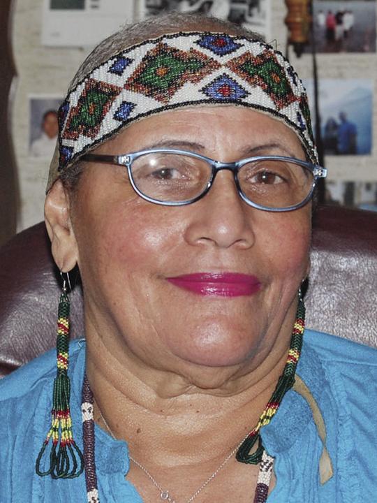 North America Known As Turtle Island To Indigenous Tribes Columns