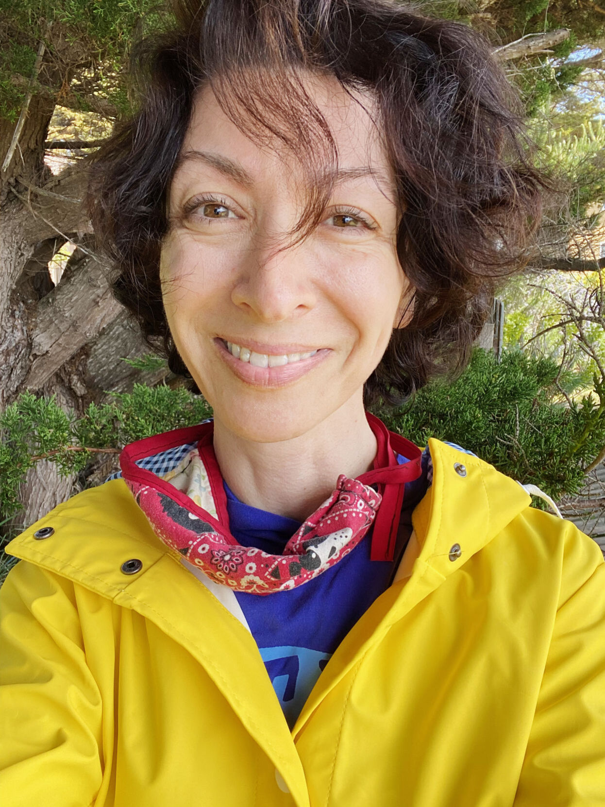 Presented As A Series, "Teacher Of The Year" Is Engaging | Arts & Entertainment - Vimarsana News