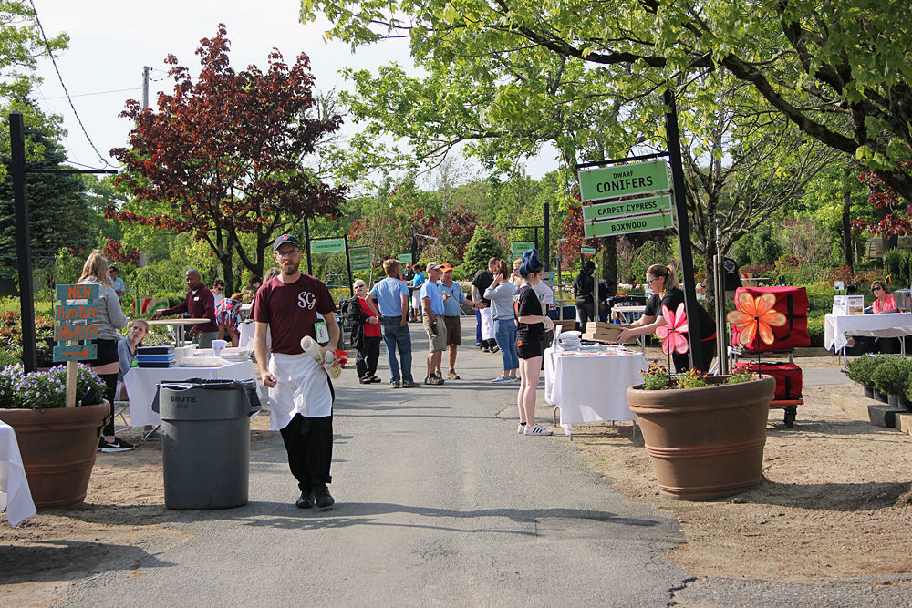 Feast Of Falmouth Raises Money For Volunteers In Public Schools