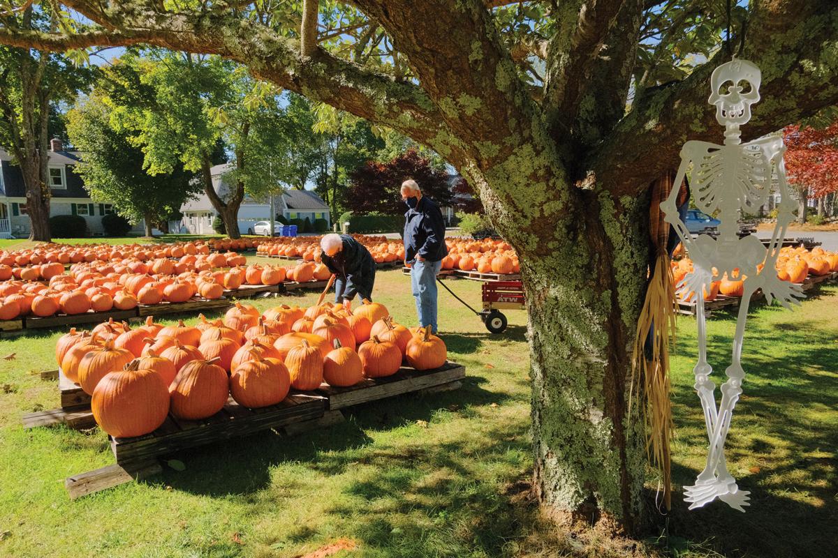 Bourne United Methodist Church Pumpkin Patch